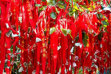 吃瓜91：网络热词“吃瓜91”引发热议，揭示当代围观文化与社会心理-5