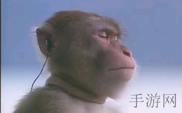 真人裸交动态图gif7式视频：亲密互动：七种动态视觉体验-2