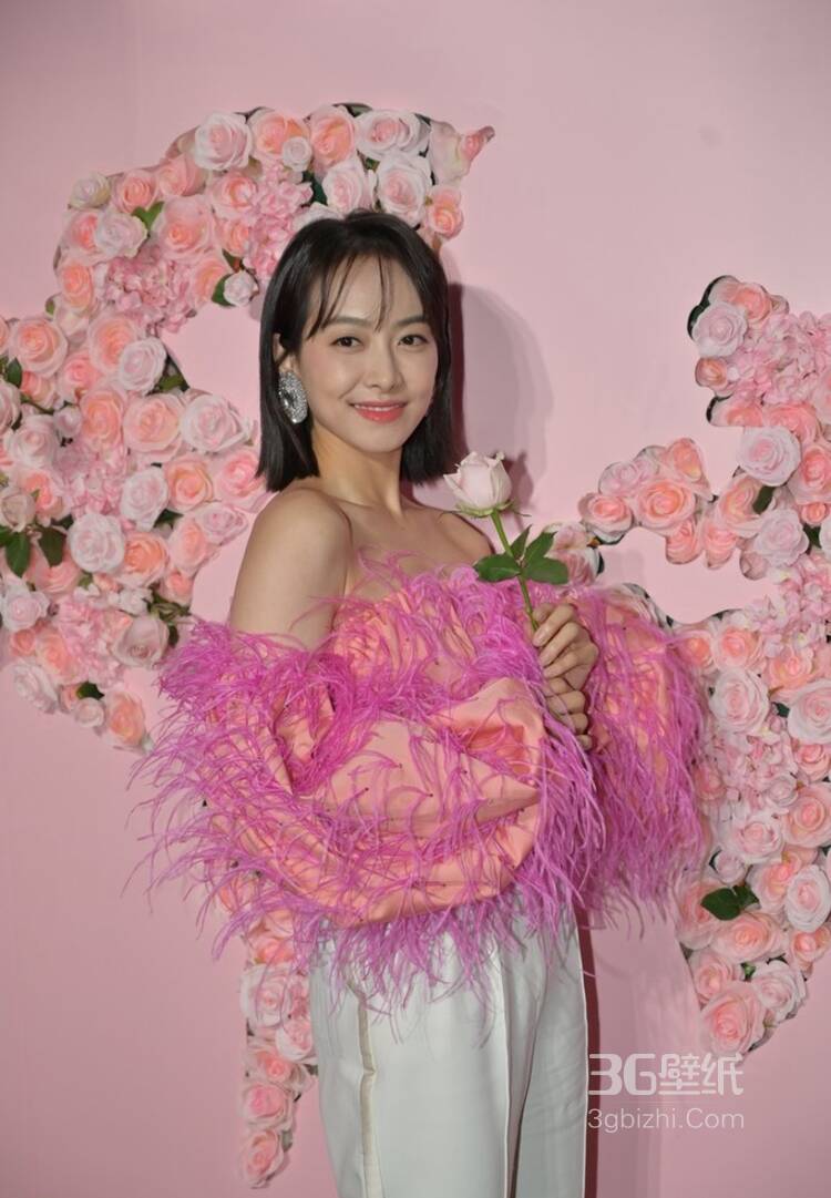木香电视直播tv,电视台幕后掌控者：策略与互动的直播盛宴